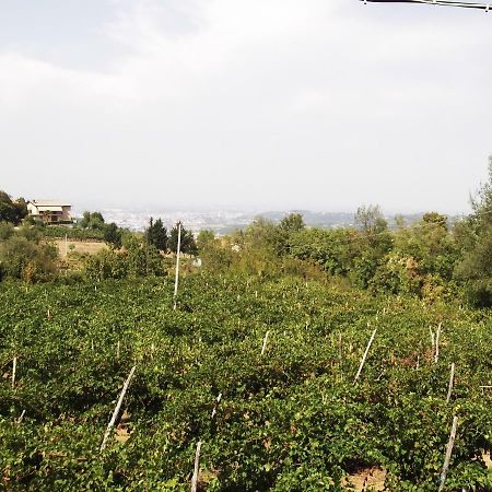 הוילה Perarolo La Panoramica מראה חיצוני תמונה